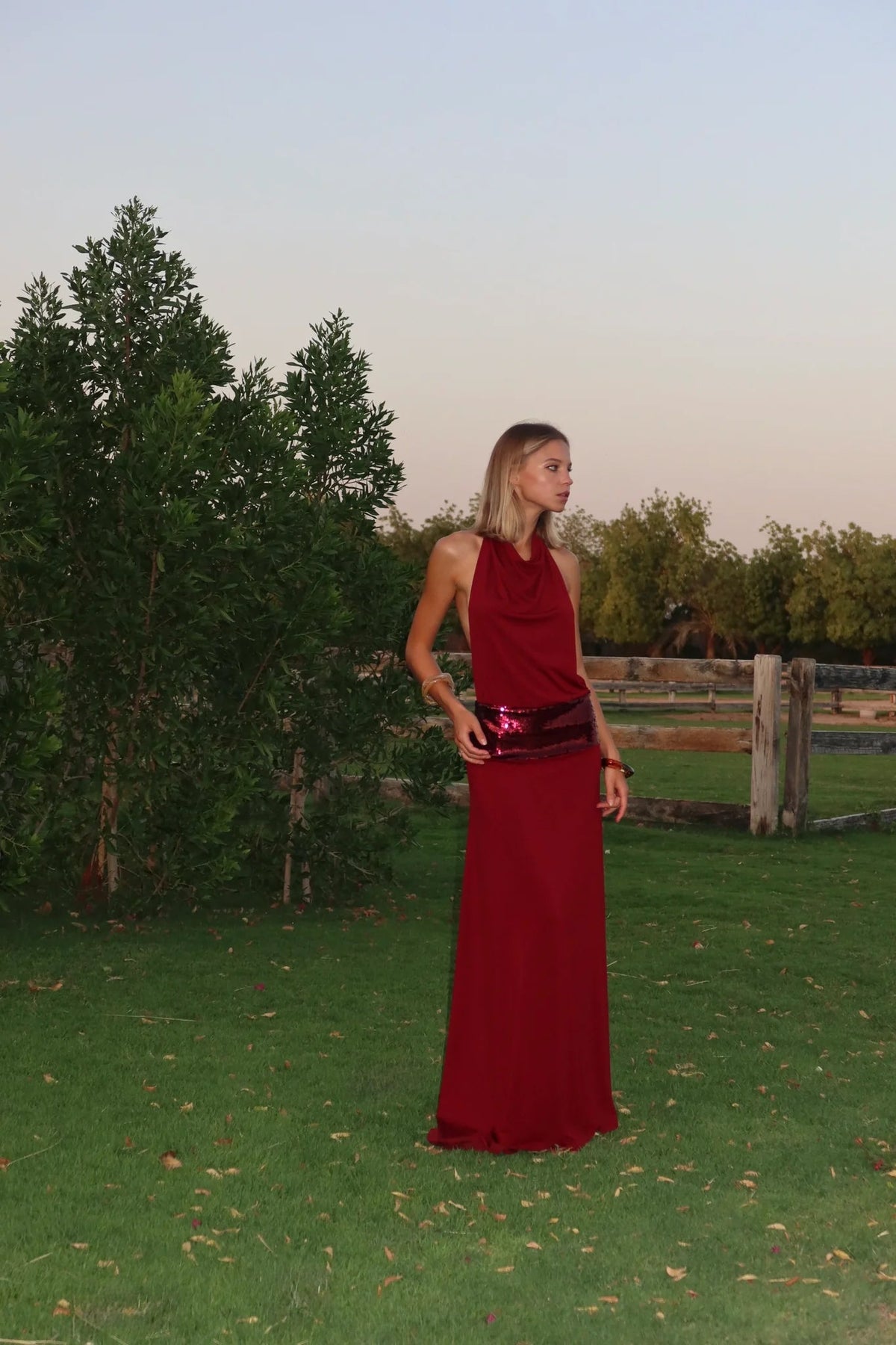 Ance Gria Adele Gown hire – wine